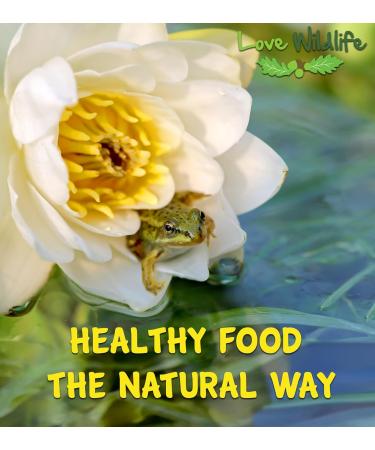 Love Wildlife Tadpole Food Twin Pack 2 x 80g Newts Frogs Toads - Buy Online on GoSupps.com
