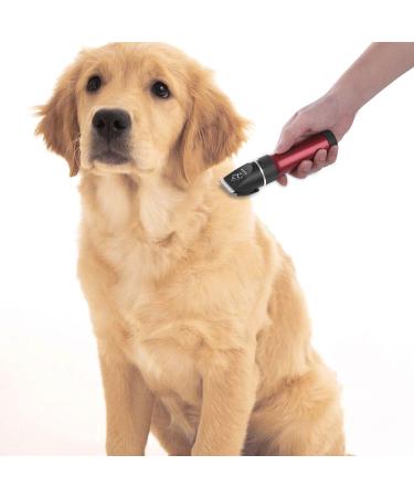 Sminiker Dog Clippers Low Noise Dog Grooming Kit Rechargeable Pet Clippers Cordless Dog Clipper Professional Dog Trimmer Suitable for Dogs Cats and Other Pets(Red) - Buy Online on GoSupps.com
