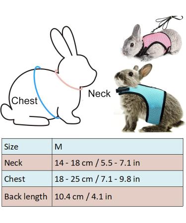 Adjustable Rabbit Dishes & Leash Set for Small Animals 2 Pieces in Blue & Pink | Perfect for Rabbits Hares Hamsters & Cats | Outdoor Use - Buy Online on GoSupps.com