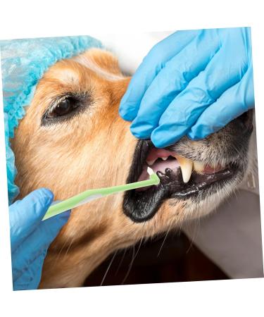 BELLIFFY 1pc Fine Fiber Plastic Cat Toothpaste Kitten Toothbrush Pet Supplies Pet Toothbrush - Buy Online on GoSupps.com