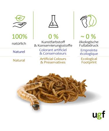 UGF Premium Dried Mealworms 1kg - Healthy Insect Snacks for Birds Reptiles & Small Pets - No Preservatives or Dyes - Buy Online on GoSupps.com