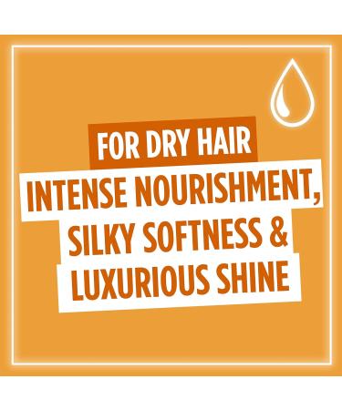 L'Or al Paris Elvive Extraordinary Oil Set for Dry Hair Deep Nourishing Routine Infused With Precious Marula And Camellia Oils Silicone Free Shampoo 400ml Conditioner 300ml Hair Oil 100ml - Buy Online on GoSupps.com