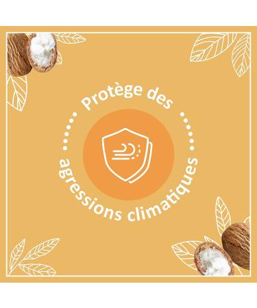 Le Petit Marseillais Lip Care Stick - Nourishing Dry Lips - Best International Shipping - Buy Online on GoSupps.com