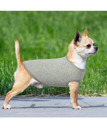 2-Pack Dog Clothing | Soft Cotton Sweaters & Shirts for Small Dogs & Cats | Air-Permeable Chihuahua T-Shirts - XL Gray & Blue - Buy Online on GoSupps.com