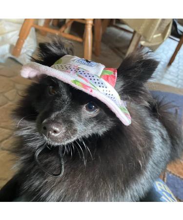 Adjustable Dog Sonnen Hat - Baseball Cap with Ear Holes for Small Dogs & Cats | Summer Sun Protection & Outdoor Sports Gear - Buy Online on GoSupps.com