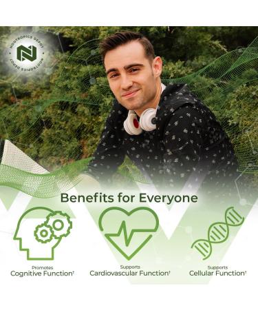 Nootropics Depot Ginkgo Biloba Extract Tablets | 120mg | 365 Count | Minimum 10% Kaempferol Glycoside + 2% Bilobalide | May Help Promote Cognitive & Cardiovascular Function 365 Count (Pack of 1) - Buy Online on GoSupps.com