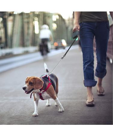 Idepit Heavy Duty Retractable Dog Leash | Anti-Chewing Steel Chain | 360 Tangle-Free | Small & Medium Dogs | 16ft | Black - Buy Online on GoSupps.com