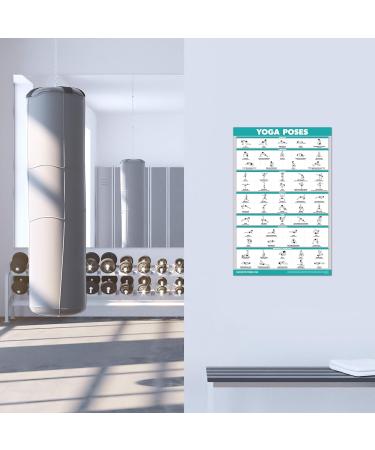 Buy Palace Learning Exercise Poster Set - Dumbbell Resistance Bands & More | International Shipping - Buy Online on GoSupps.com