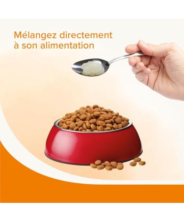 BEAPHAR Sheep Fat for Dogs Complementary Food Omega 3 and 6 Beneficial for Intestinal Function Coat and Skin Energy and Vitality Promotes Appetite 430 ML - Buy Online on GoSupps.com