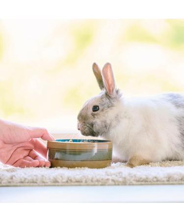 Buy Beaphar Care+ for Rabbits & Small Mammals - Immune Support 1.5kg | Spirulina & Vitamin E - Buy Online on GoSupps.com