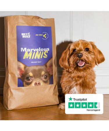 Buy Hey Holy Marvelous Mini's Grain-Free Dry Dog Food with 40% Trout - 7kg Pack - Ideal for Adult Dogs - Limited Ingredients and Easily Digestible - Buy Online on GoSupps.com
