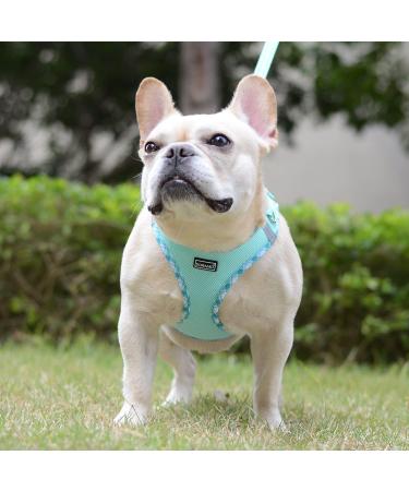 Doramio Reflective Dog Harness for Small Dogs & Cats - Breathable Step-In Design with Leash - XS Light Green - Buy Online on GoSupps.com