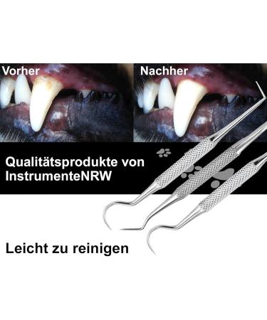 Stainless Steel Pet Dental Care Set | Tartar Scratches Dog & Cat Tooth Cleaner | Mini Toothpick for Rodents - Buy Online on GoSupps.com