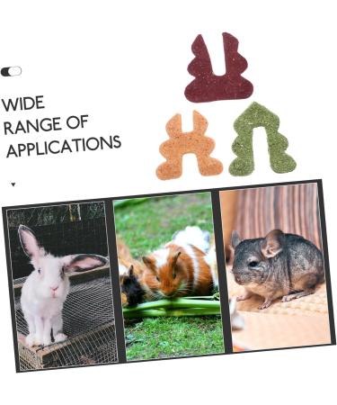 ORFOFE Rabbit Snacks Guinea Pig Treats Hamster Treats Rabbit Chew Rat Treats for Rabbits Fiber - Buy Online on GoSupps.com