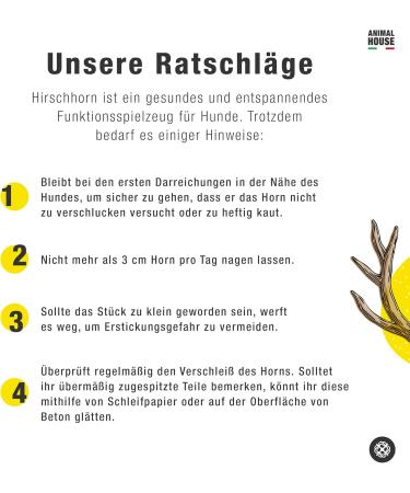 Animal House Shared Deer Antler for Dogs | 100% Natural Causnack | Durable Resistant Mouth Hygiene | Available in All Sizes (XL) - 1 Piece Pack - Buy Online on GoSupps.com