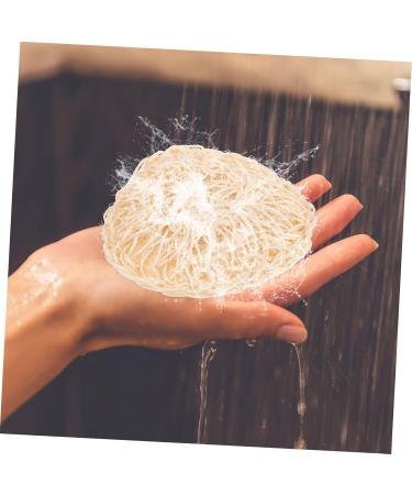 FRCOLOR 2pcs Exfoliating Sisal Bath Brush & Shower Balls - Loofah Sponge Pouf Mesh Scrubber & Body Cleaning Spa Tool - Buy Online on GoSupps.com