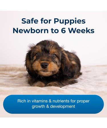 Buy PETAG ESBILAC Puppy Milk Replacement Powder | 340g Formula with Prebiotics & Probiotics | Ideal for Newborn Puppies up to 6 Weeks | International Shipping - Buy Online on GoSupps.com
