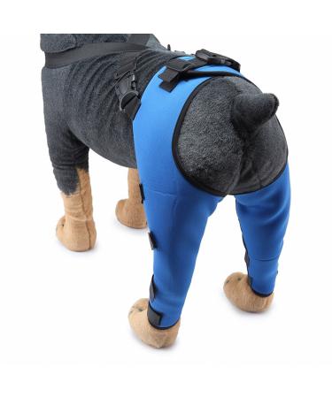 Dog Knee Brace Pet Dog Hind Leg Brace Support Belt Pet Dog Double Hind Leg Brace Support Belt for Heals Prevents Injuries Sprains Protects Wounds. B Large