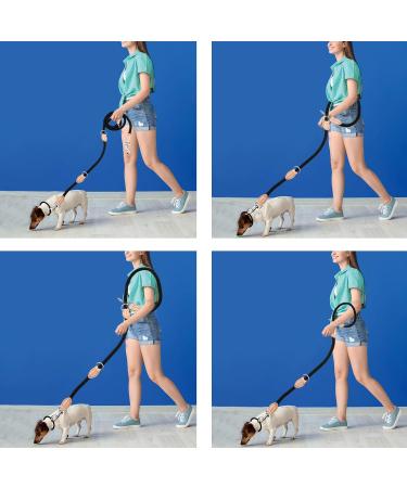 2m Nylon Dog Leash with 2 Carabiners - Durable Double Line Training Drag Line for Small Medium & Large Dogs - Perfect for Exercise & Control (Black) - Buy Online on GoSupps.com