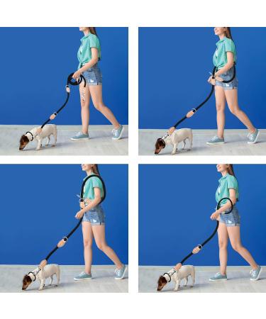 2m Dog Leash with Carabiners | Durable Nylon Training Line for Small Medium & Large Dogs - Adjustable & Portable (Red) - Buy Online on GoSupps.com