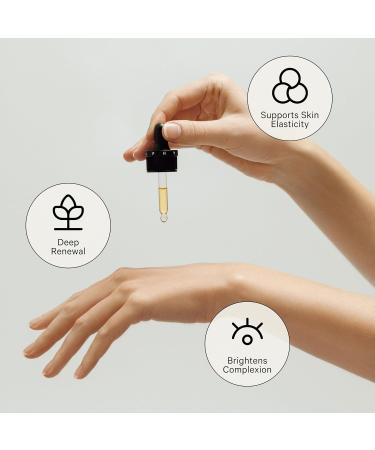 Repair Face Oil - Night Face Mask Anti Aging Hydrating Facial Oil for Women Vegan Beauty Gua Sha Facial Oil Moisturizer Ideal for Plumping Fine Lines and Wrinkles Petty Grudges - Biography 13 mL Petty Grudges- Earthy  - Buy Online on GoSupps.com