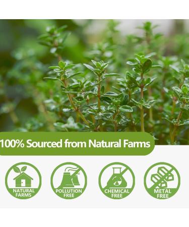  ULTHMOK Premium Thyme Leaf Tea in 100 Bags Made with 100% Pure Thyme Leaves Aids Digestion & Supports - Buy Online on GoSupps.com