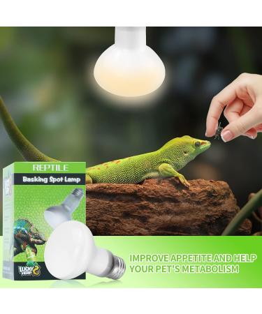 LUCKY HERP 2 Pack 100W UVA Reptile Heat Lamp Bulb Amphibian Basking Spot Light Bulb Reptile Daylight Bulb for Turtle Bearded Dragon Lizard Heating Use 100W(2 Pack) - Buy Online on GoSupps.com