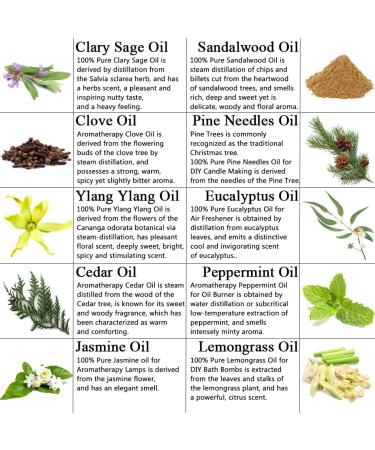 Aromatherapy Cedar Essential Oil Set for Diffuser 10X10ml 100% Pure Sandalwood Essential Oil Set for Room Spray Pure Jasmine Oils Set-Clary Sage Ylang Ylang Pine Needles... Oils Set for Air Freshener Freshen Surround - Buy Online on GoSupps.com