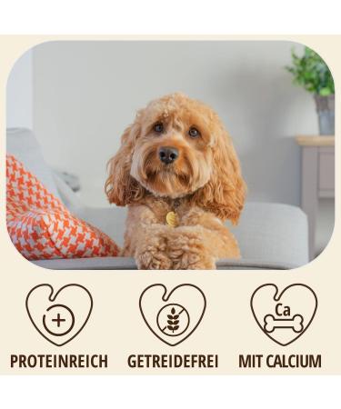 Petlove Hard Cheese for Dogs | 100% Natural Chewing Bones | Cauca Cheese Dental Treats | Ideal for On-the-Go | 3 Pack XS (10-30g) - Buy Online on GoSupps.com