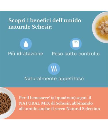 Schesir Cat Soup Pumpkin Chicken Cat Soup 20 Sachets x 85 g - Buy Online on GoSupps.com