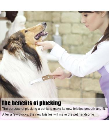 Professional Trimmeters Set for Dogs & Cats - Stainless Steel Fine & Medium Tooth Care Kit - Buy Online on GoSupps.com