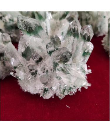 Natural Crystal Rough Crystal Cluster 300-1000g Rare Beautiful Green Ghost Phantom Quartz Crystal Cluster Specimen (Size : 800-900) - Buy Online on GoSupps.com