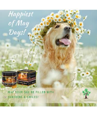 Buy GastroBalance Healthy Anal Glands Dog Chews - 60 Natural Chicken Flavor Soft Snacks for Optimal Health - Buy Online on GoSupps.com