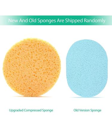 10PCS Face Mask Mixing Bowl Set - Silicone Brushes & Spatulas for DIY Facial Masks - Buy Online on GoSupps.com