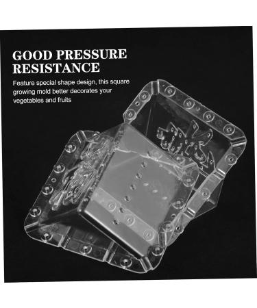 BESPORTBLE 2pcs Square Apple Molds Fruit Planting Molds Vegetable Stereotypes Plastic Mould Cover 1 - Buy Online on GoSupps.com
