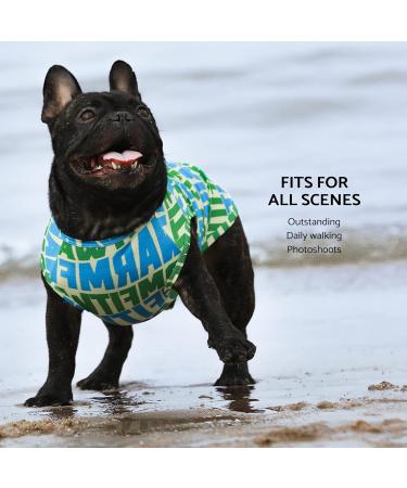 Fitwarm 2 Pack Dog Cooling Shirt for Small Dogs - Breathable Mesh Summer Clothes for Pets - Green/Blue Striped Tshirt - Medium - Buy Online on GoSupps.com