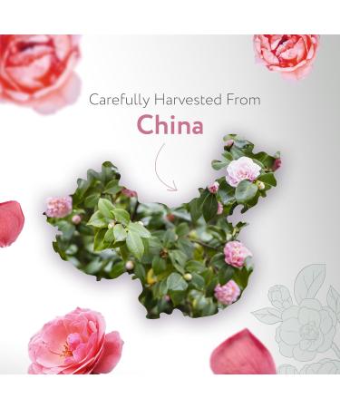 HBNO Organic Camellia Oil - 8.8 lbs (4kg) - Ideal for Shampoos Conditioners Lip Balms Face wash Lotions and Skin care products. - Buy Online on GoSupps.com