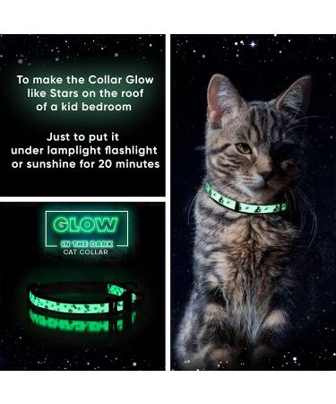 Pawtitas Glow in The Dark Cat Collar with Safety Buckle and Bell Teal - Buy Online on GoSupps.com