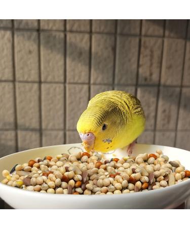 Nobleza - (500g) Parakeet Food Premium Bird Seeds Tasty Bird Food - Buy Online on GoSupps.com