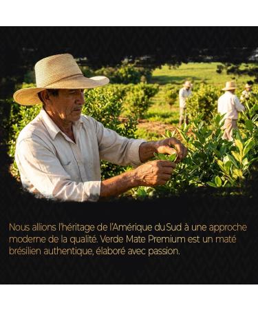 Verde Mate Green Premium Elite Energy 200g L expression supr me de la yerba mate br silienne Fruit m lang 200g - Buy Online on GoSupps.com