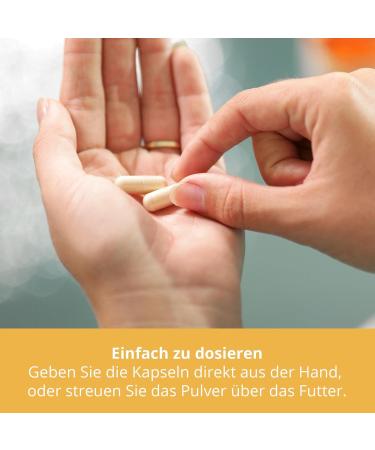 Sensipharm L-Lysine for Dogs & Cats | 100 High Dosed Lysine Softgels at 670mg to Support the Immune System | Naturally Pure A - Buy Online on GoSupps.com