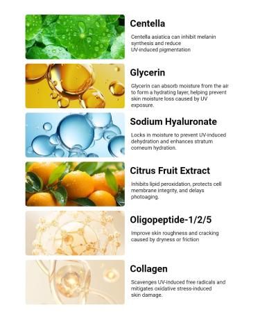 Broad-Spectrum SPF 50 Sunscreen High-Protection Hydrating Formula Ceramide & Collagen-Infused Water-Resistant & Non-Greasy Lightweight Travel Size for On-the-Go Skincare - Buy Online on GoSupps.com