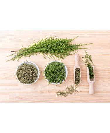 Horsetail Herb Tea | Equisetum Arvense L | Pr le Des Champs Herbe Tisane | Health Embassy (100g) 100 g (Pack of 1) - Buy Online on GoSupps.com
