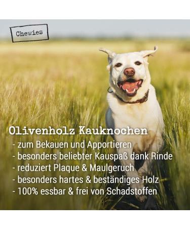 Chewies XL Olive Wood Dog Chewing Bone - 100% Natural Durable Dog Toy for Dogs 30kg+ | Safe & Low-Risk Accessories - Buy Online on GoSupps.com