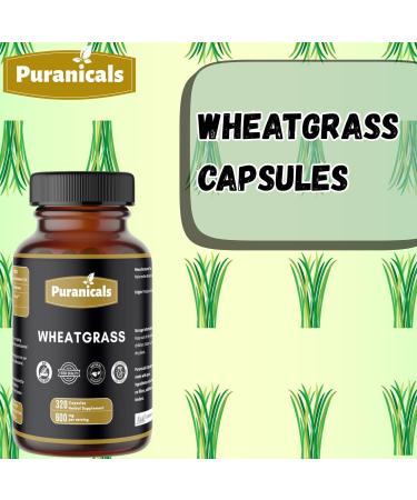Neem 320 Capsules and Wheatgrass 320 Capsules Bundle | Two-Bottle Herbal Essentials | Pure Simple Formulas| Convenient Capsule Format | Non-GMO Ingredients No Artificial Colors | Capsules Com - Buy Online on GoSupps.com