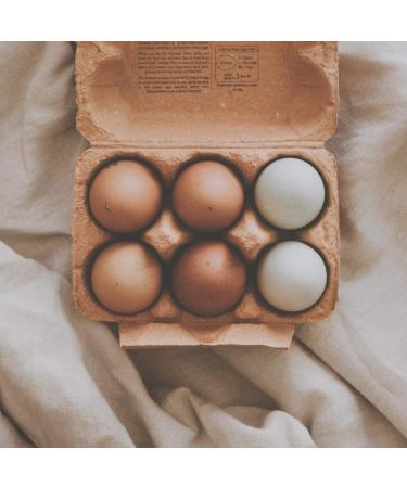 Manna Pro Omega Egg Maker Chicken Feed Supplement - 5 Pounds - Buy Online on GoSupps.com