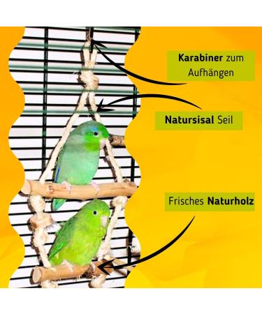 Handmade Natural Wood Budgie Swing for Two Birds | Bird Gallery | Premium Bird Toys - Buy Online on GoSupps.com
