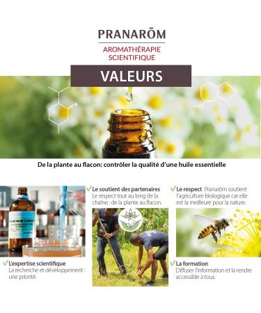 C rcuma Rizoma Bio Eco 10 ml - Compra Org nica Internacional | Suplemento Natural para Salud y Bienestar - Buy Online on GoSupps.com