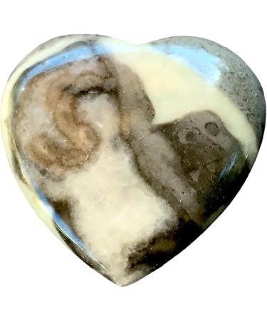 Steinfixx Large Gem Heart | Healing Crystal | Chakra & Massage Stone | Perfect Gift | Shell Jaspis - Buy Online on GoSupps.com
