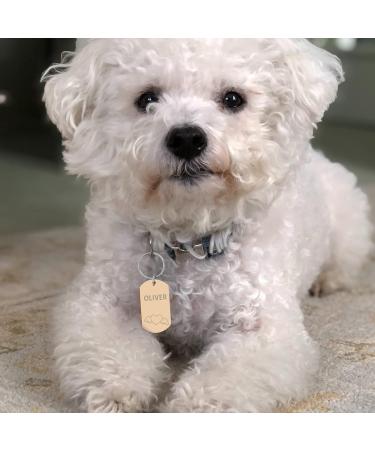 Personalized Stainless Steel Dog Tags | Custom Engraved Tags for Dogs & Cats | Camal Brand - Round Bone Heart & More Shapes - Buy Online on GoSupps.com